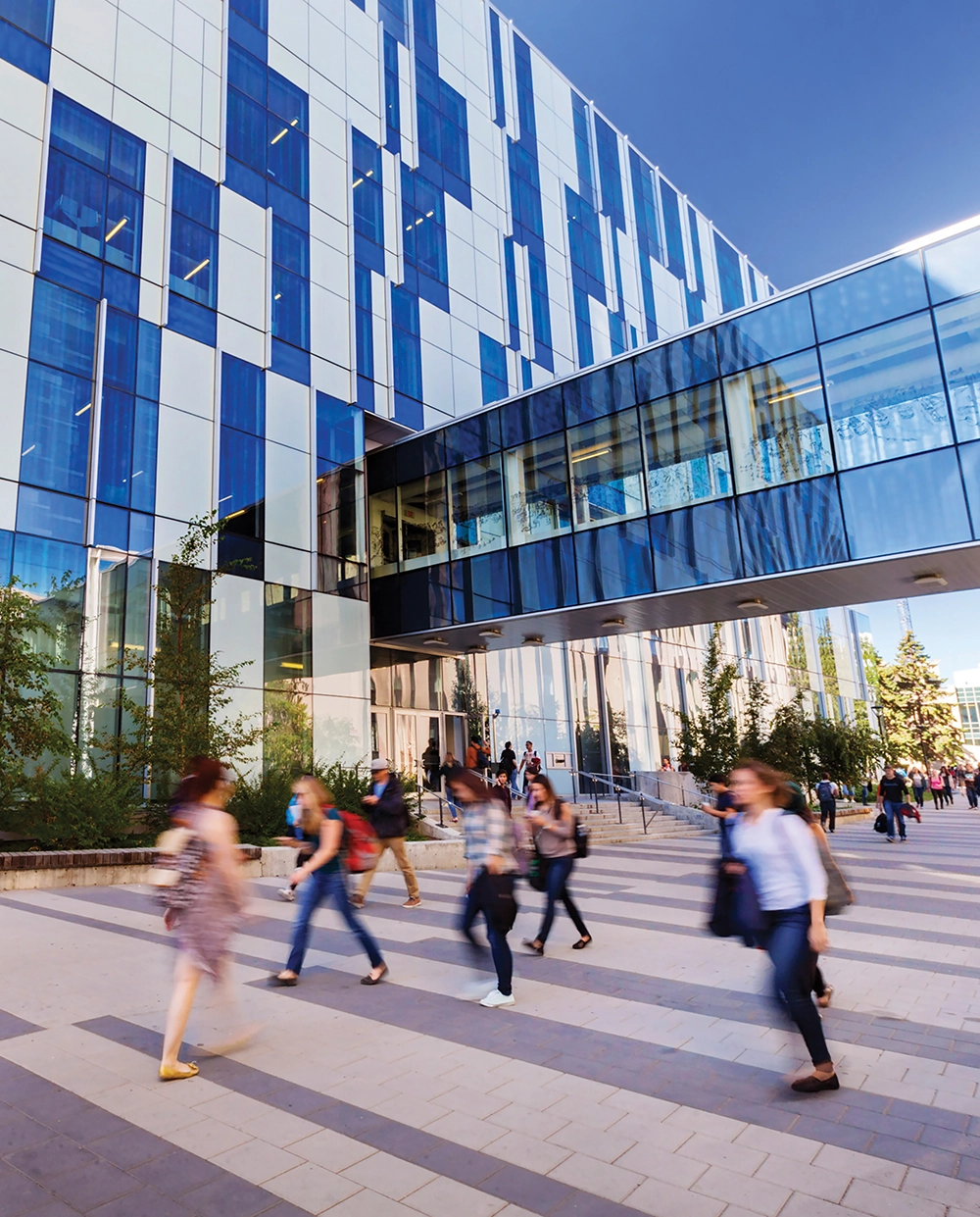 students outside Taylor Family Digital Library